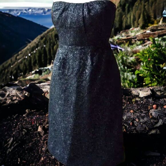 NWT J. Crew Strapless Lace Black Dress - Picture 1 of 5